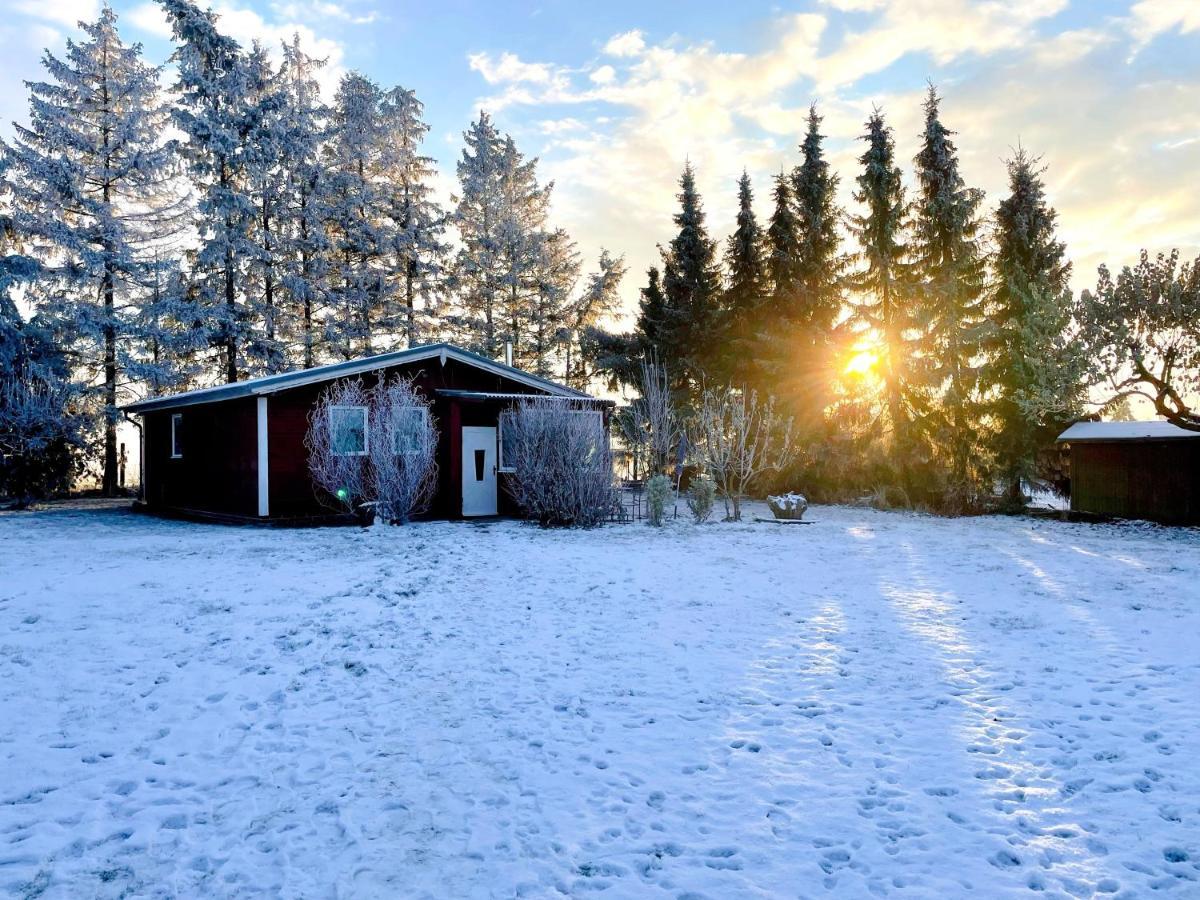 Landhaus Mit Pool, Bungalow In Der Natur Hohenbollentin エクステリア 写真