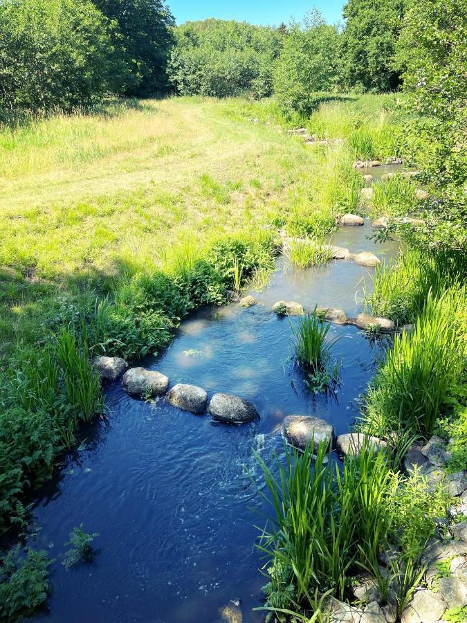 Landhaus Mit Pool, Bungalow In Der Natur Hohenbollentin エクステリア 写真