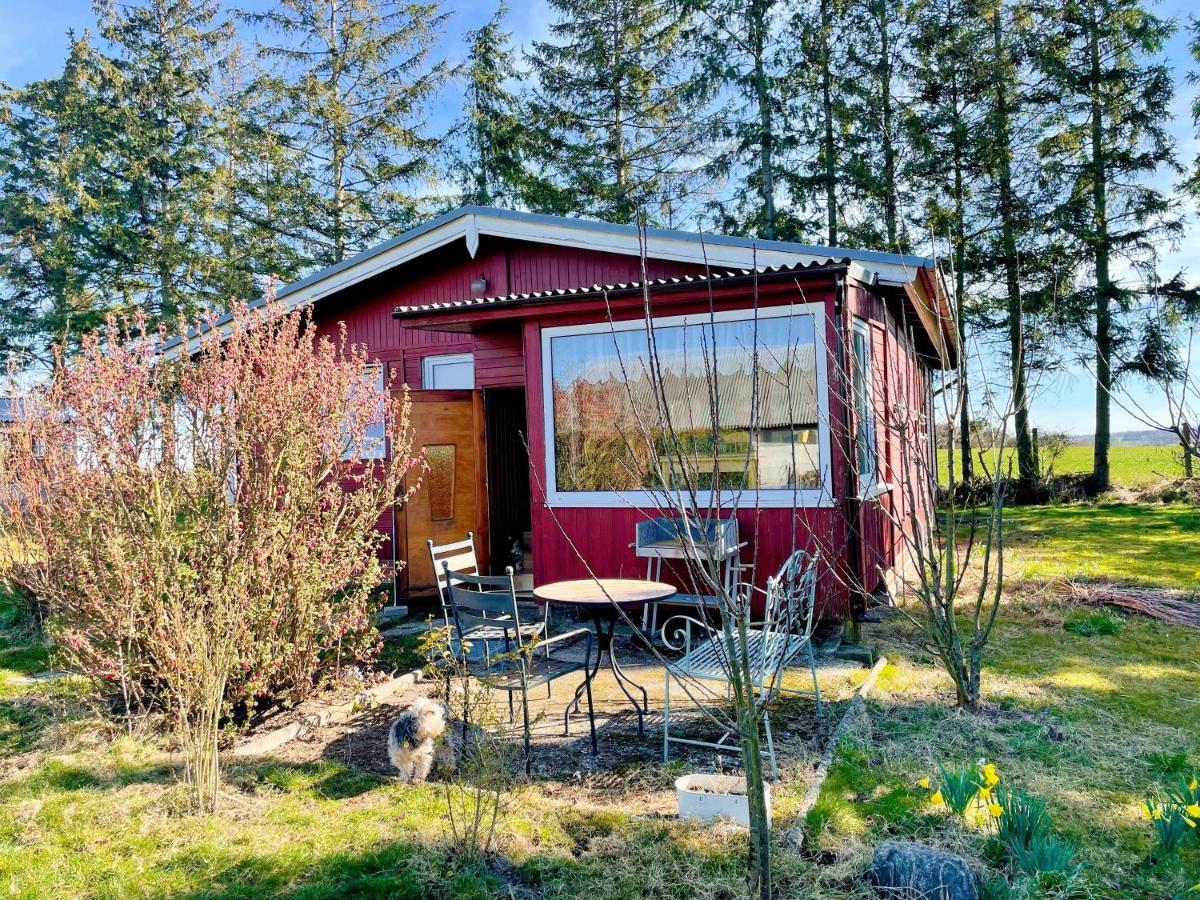 Landhaus Mit Pool, Bungalow In Der Natur Hohenbollentin エクステリア 写真